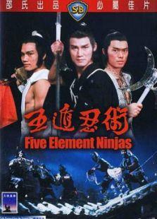 五遁忍术,隐匿于无形，操控自然之秘术